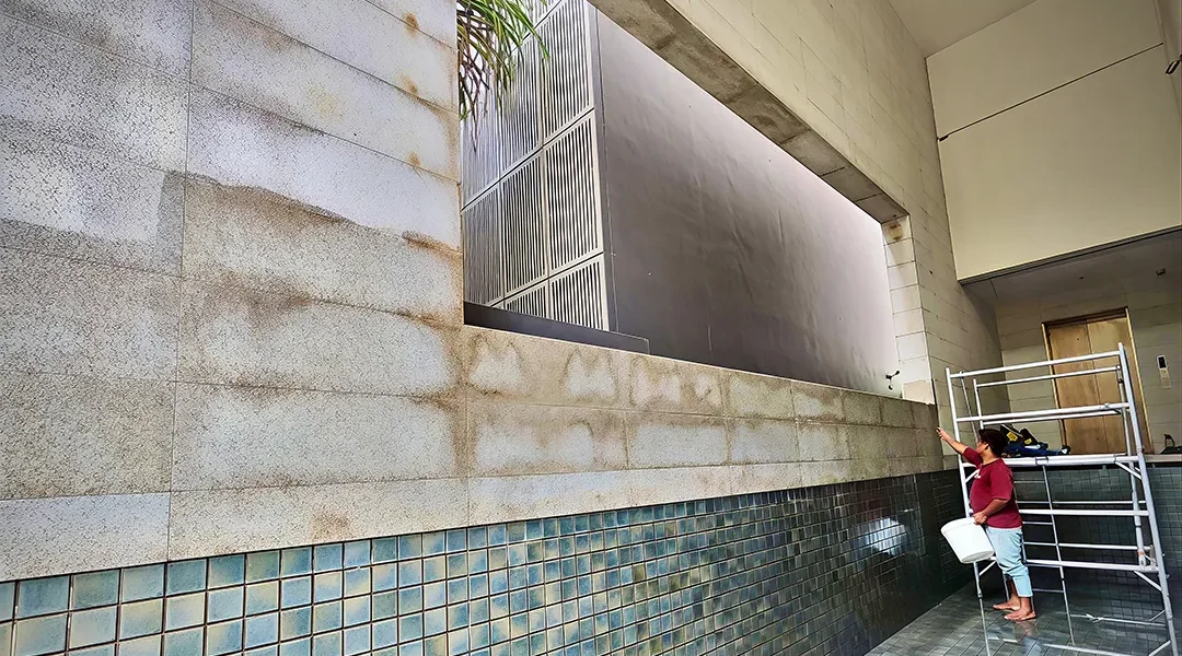 Exterior granite wall staining before cleaning at coastal landed property in Singapore