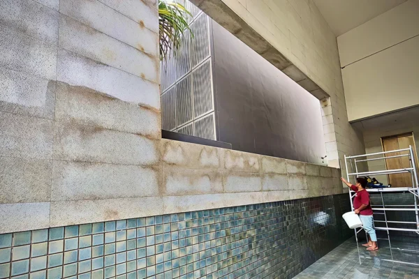 Exterior granite wall staining before cleaning at coastal landed property in Singapore