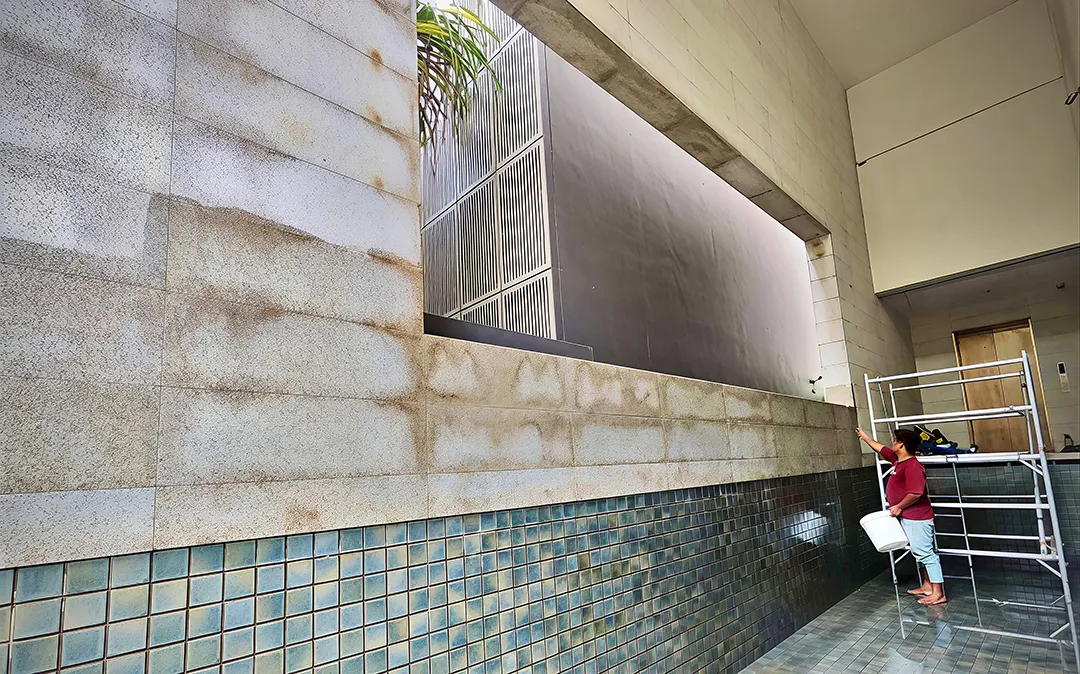 Exterior granite wall staining before cleaning at coastal landed property in Singapore